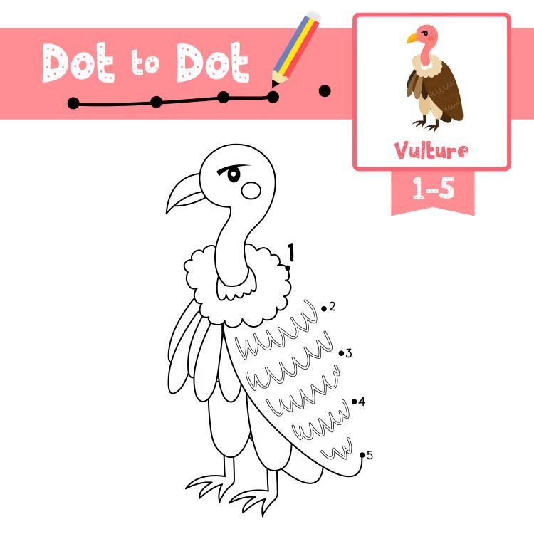 Çizgi Çalışmaları