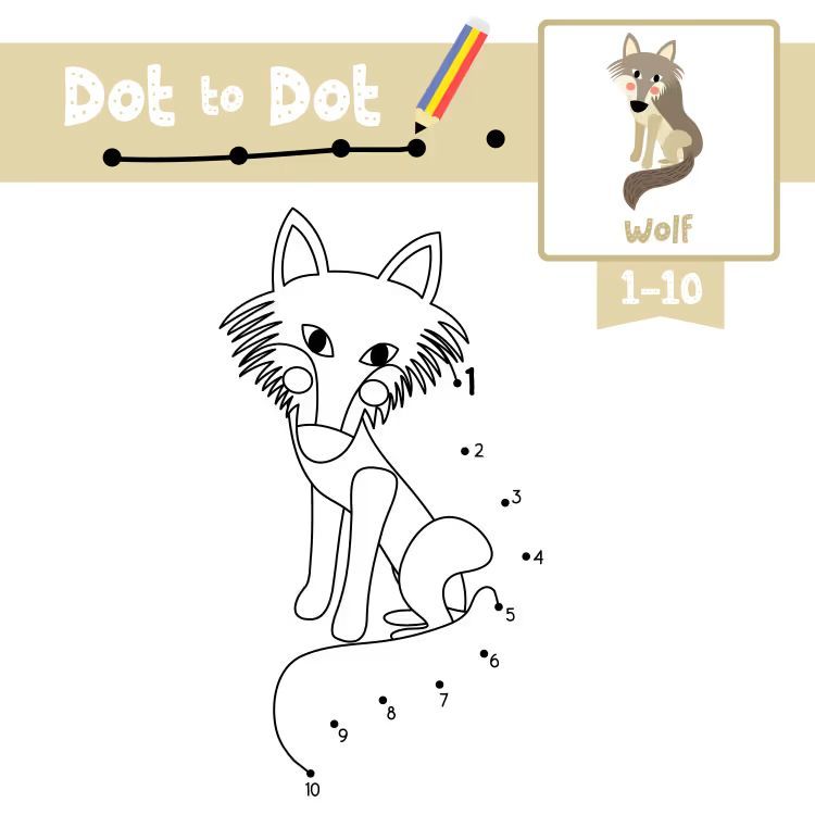 Çizgi Çalışmaları