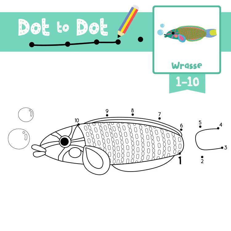 Çizgi Çalışmaları