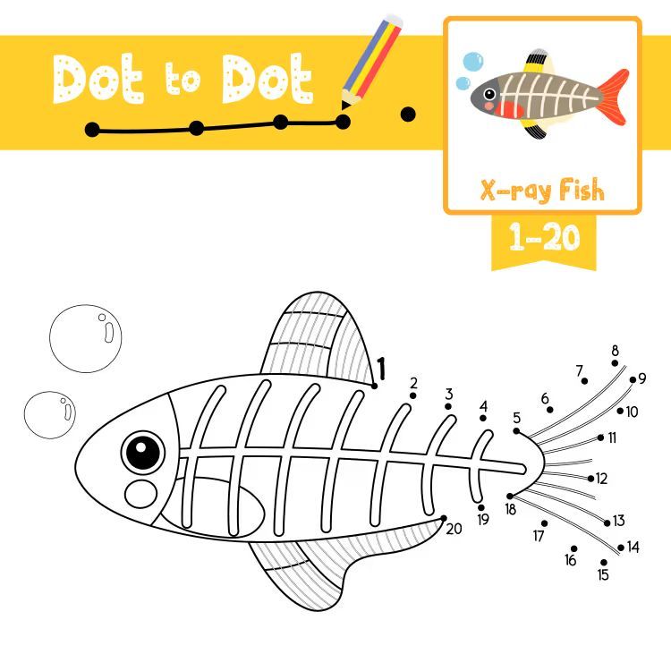 Çizgi Çalışmaları