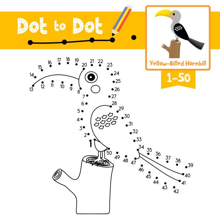 Çizgi Çalışmaları