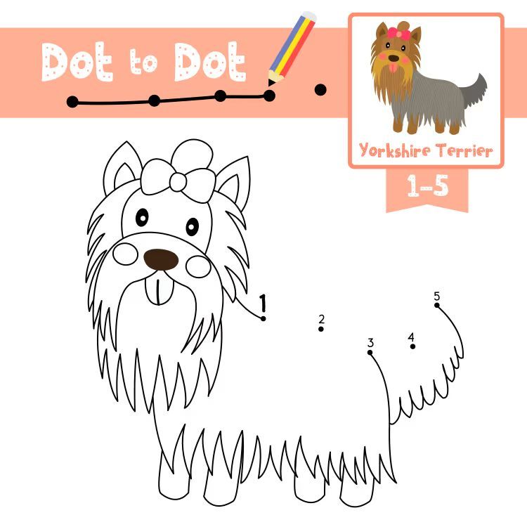 Çizgi Çalışmaları