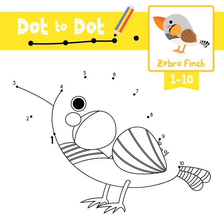 Çizgi Çalışmaları