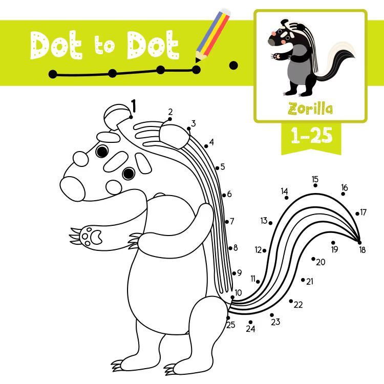 Çizgi Çalışmaları