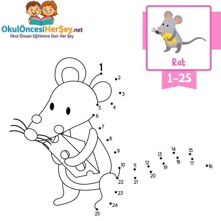 Çizgi Çalışmaları