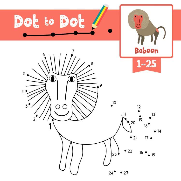 Çizgi Çalışmaları