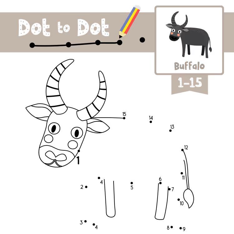 Çizgi Çalışmaları