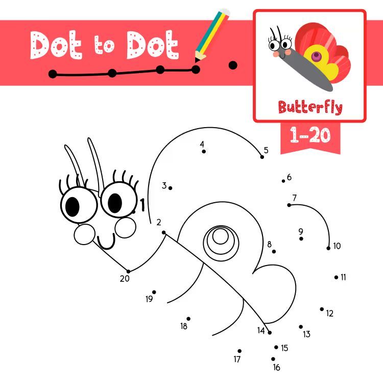 Çizgi Çalışmaları