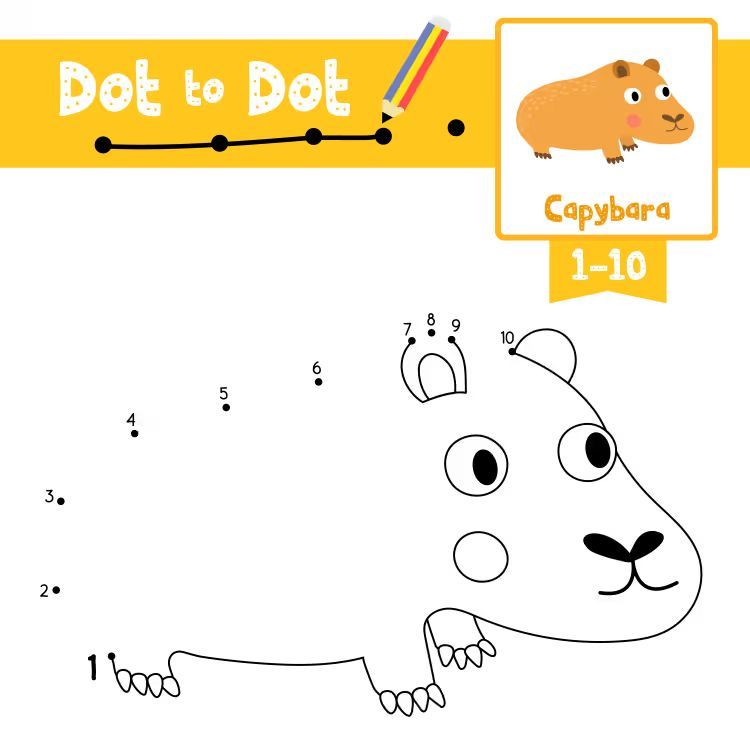 Çizgi Çalışmaları