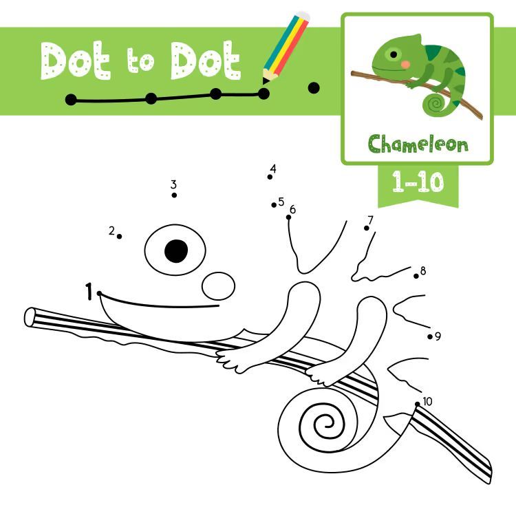 Çizgi Çalışmaları