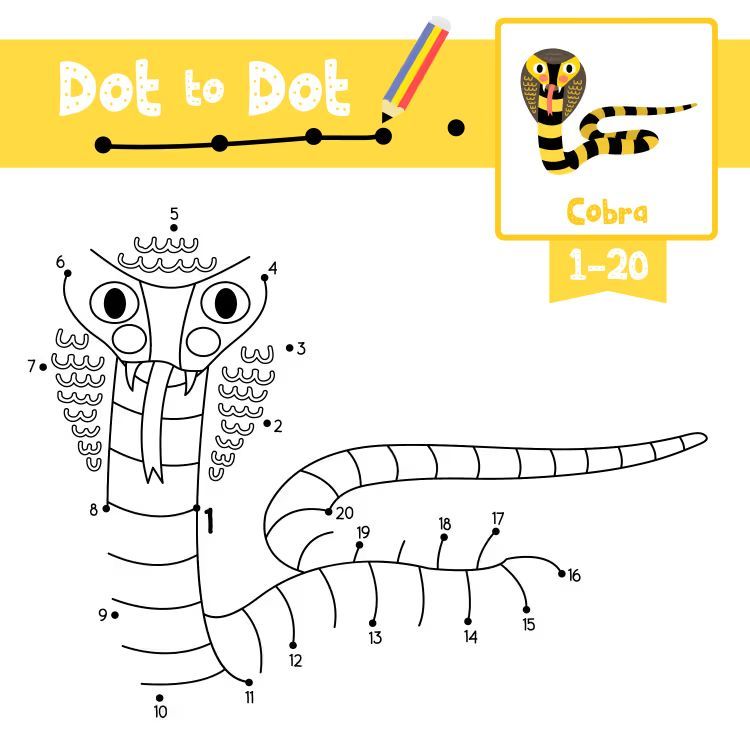 Çizgi Çalışmaları