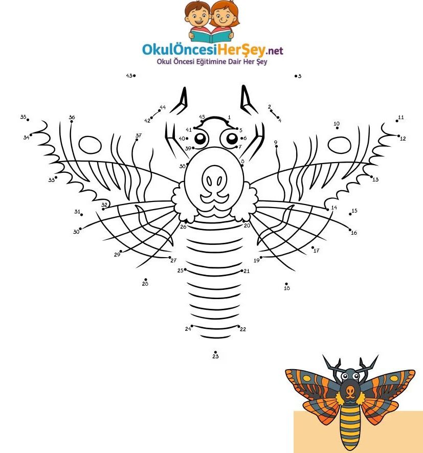 Çizgi Çalışmaları