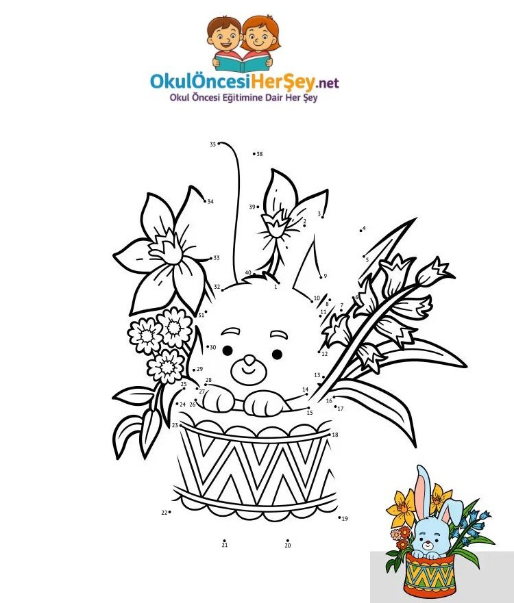 Çizgi Çalışmaları