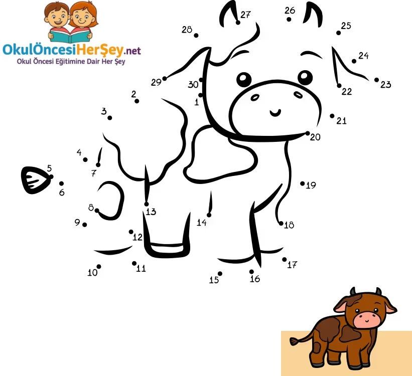 Çizgi Çalışmaları