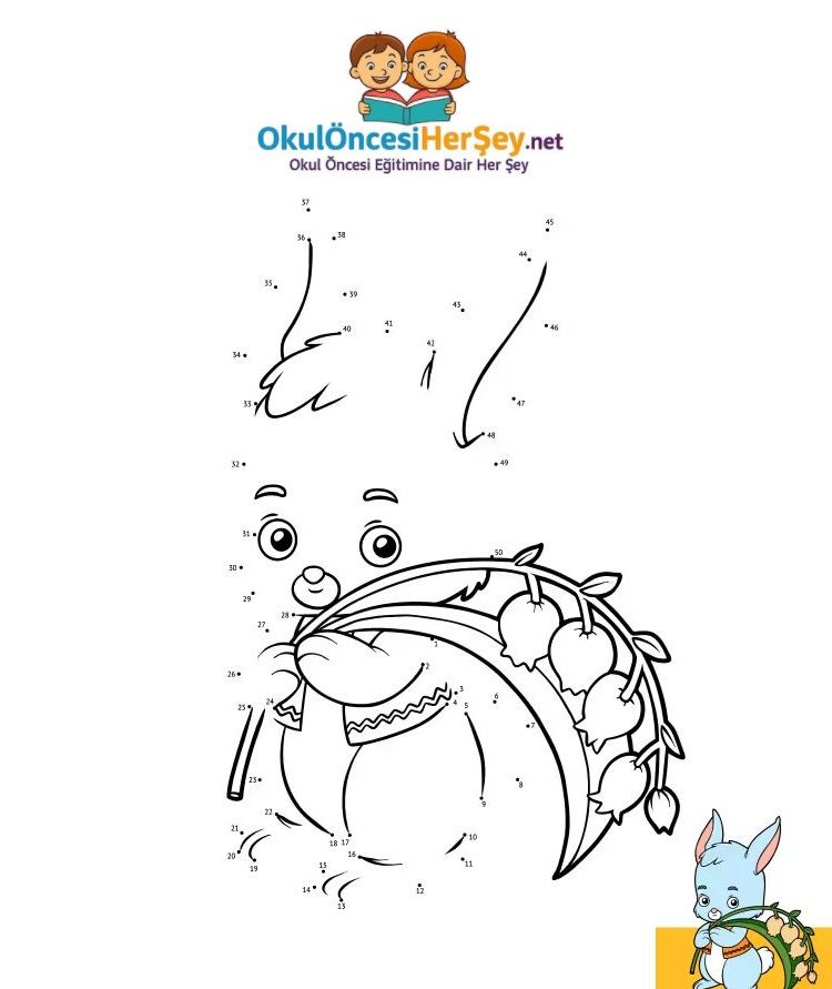 Çizgi Çalışmaları