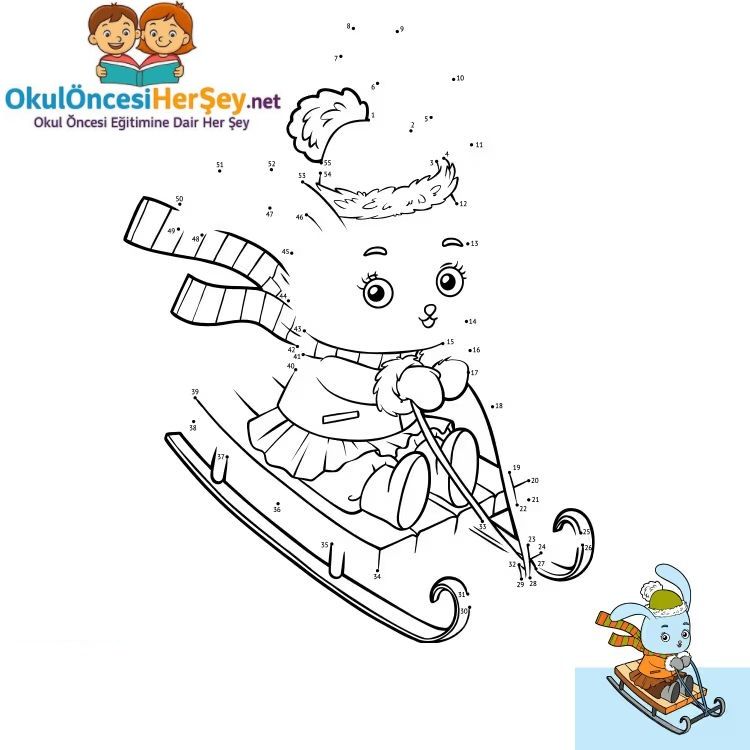 Çizgi Çalışmaları