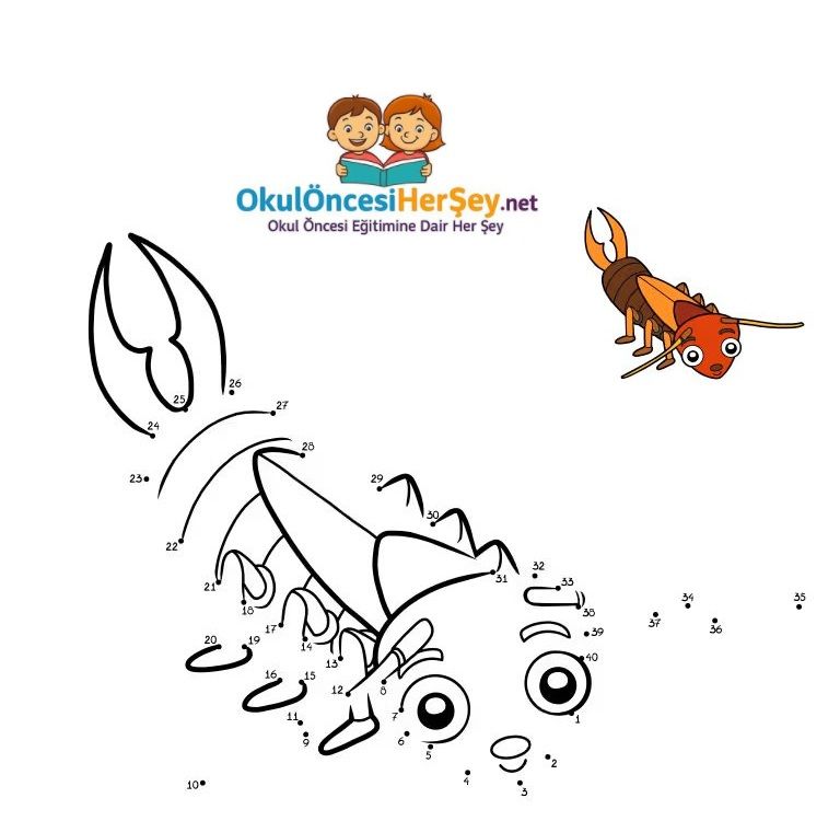 Çizgi Çalışmaları