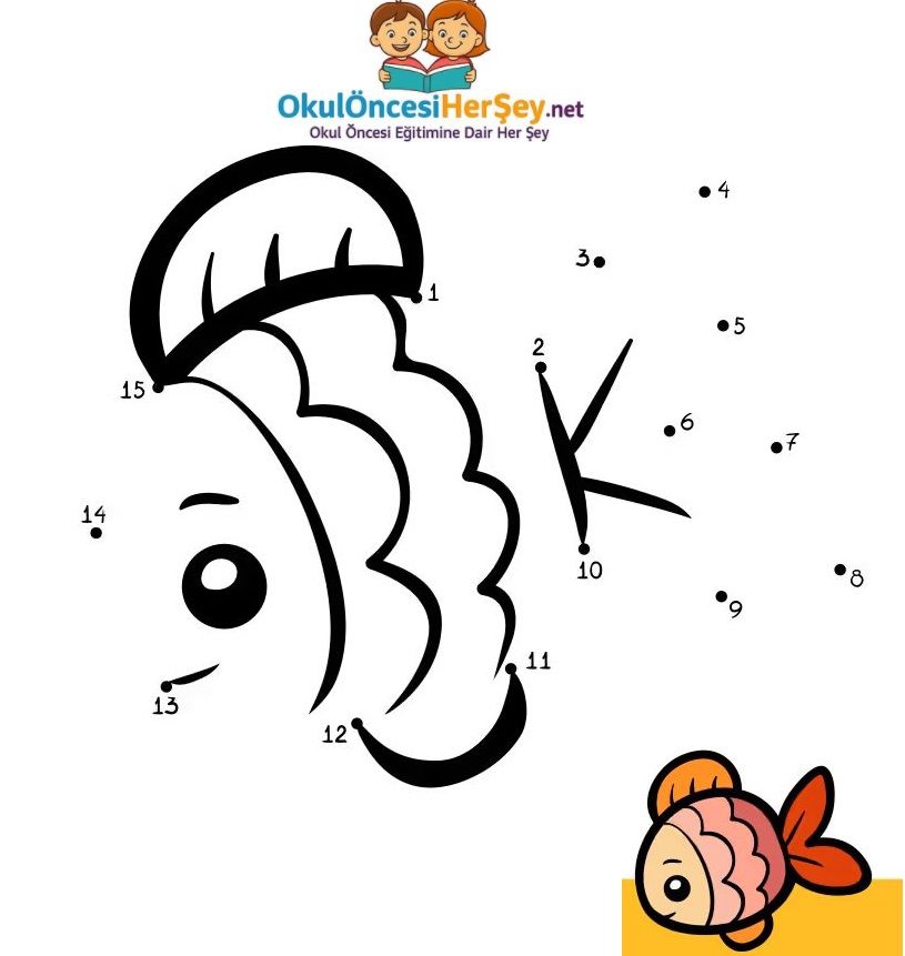 Çizgi Çalışmaları