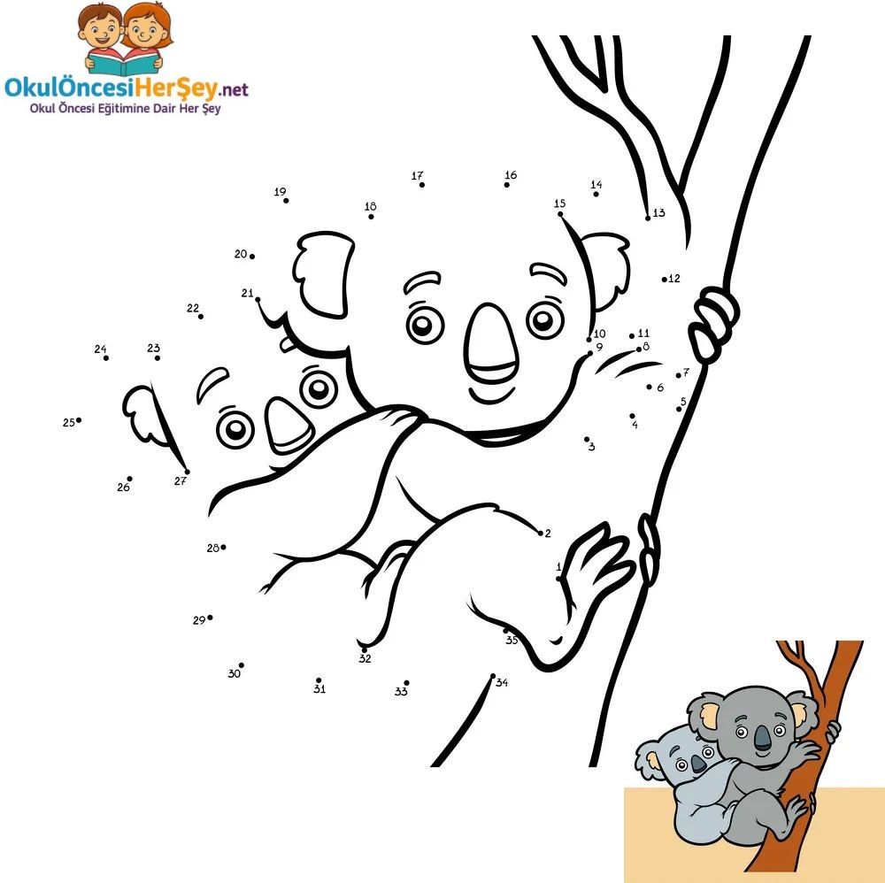 Çizgi Çalışmaları