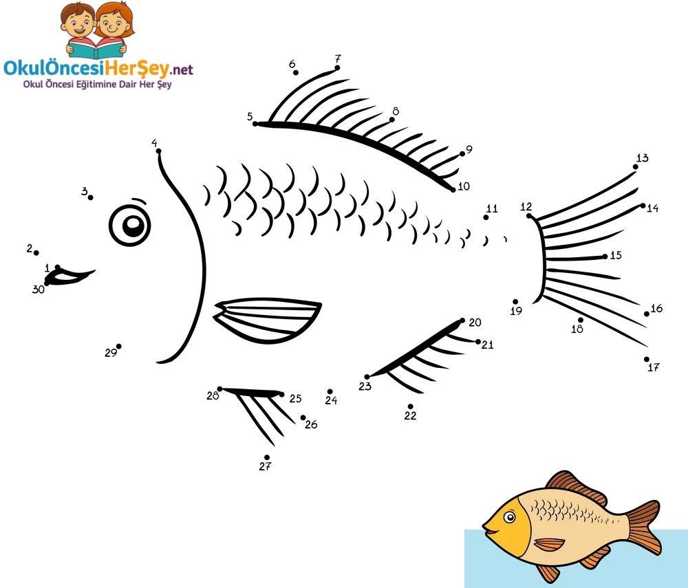 Çizgi Çalışmaları