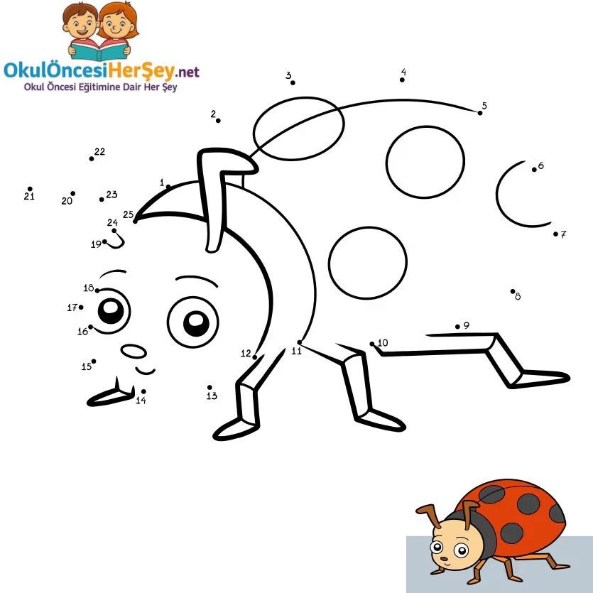 Çizgi Çalışmaları