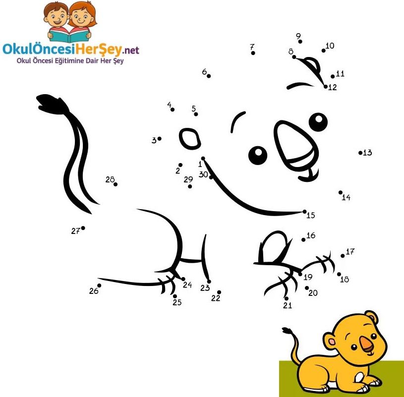 Çizgi Çalışmaları