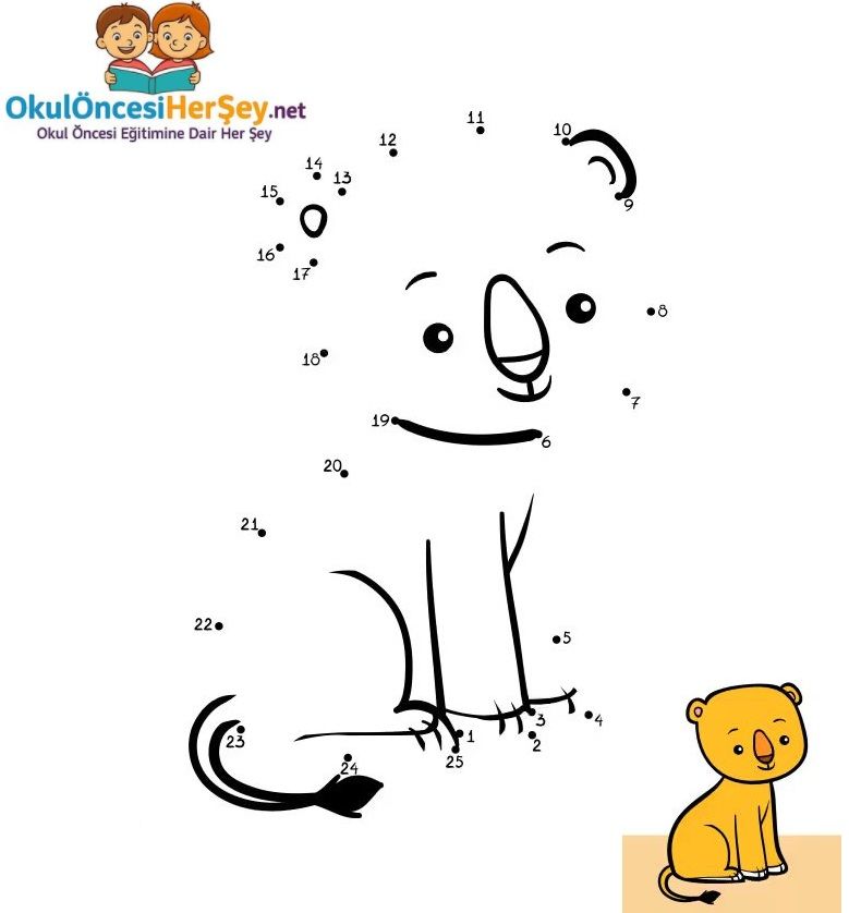 Çizgi Çalışmaları