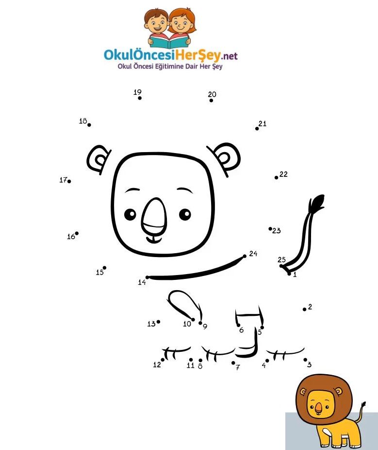 Çizgi Çalışmaları