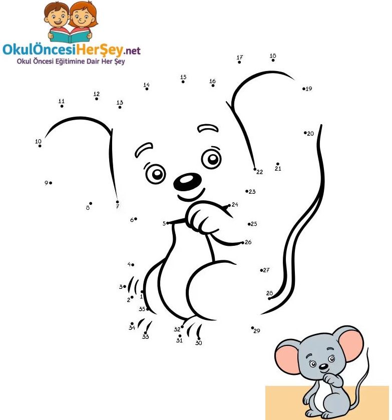 Çizgi Çalışmaları