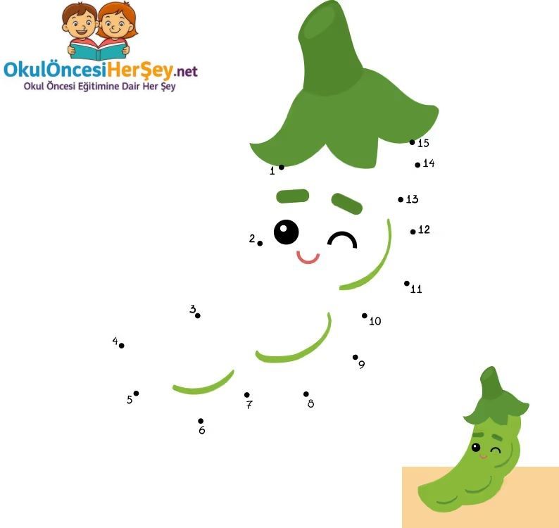 Çizgi Çalışmaları