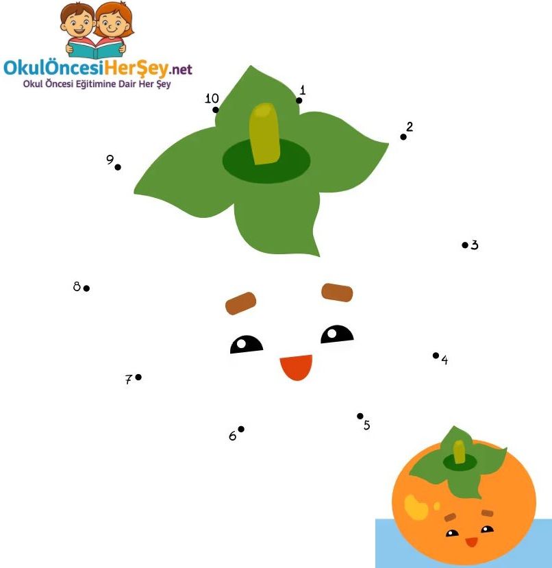 Çizgi Çalışmaları