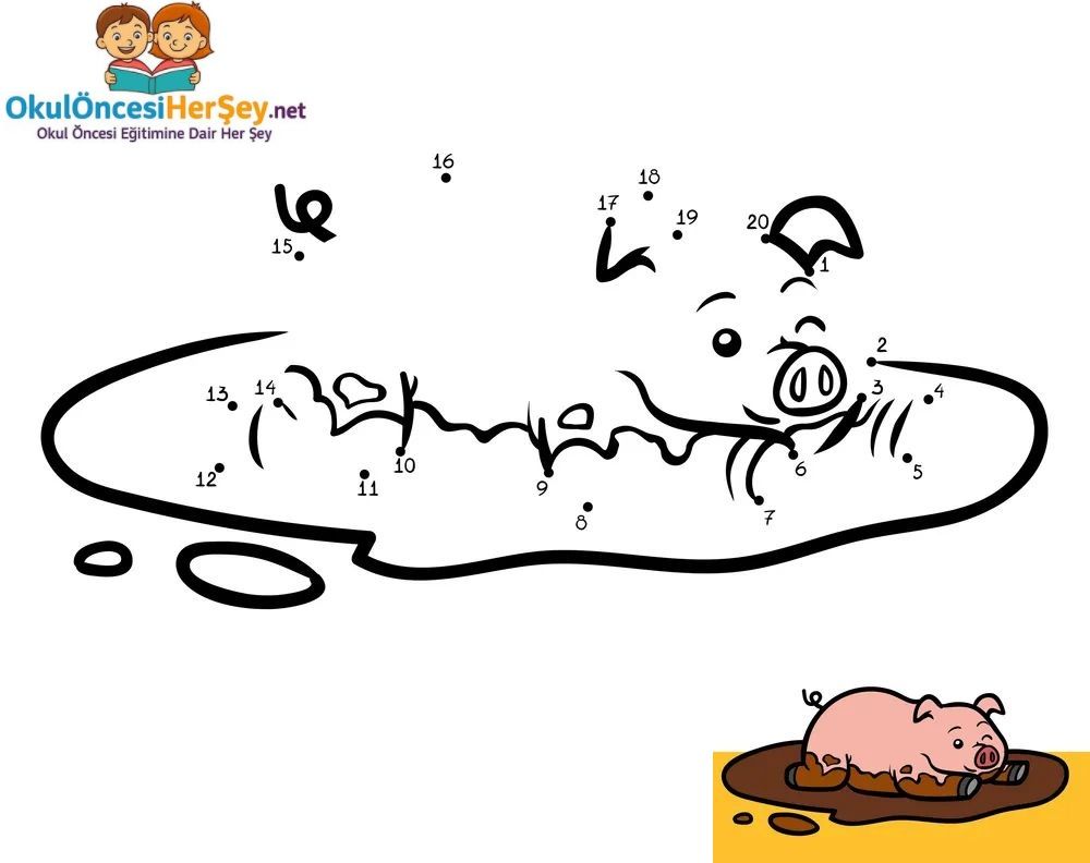 Çizgi Çalışmaları