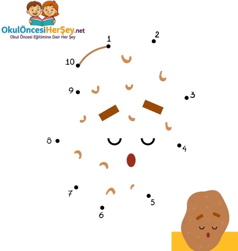 Çizgi Çalışmaları