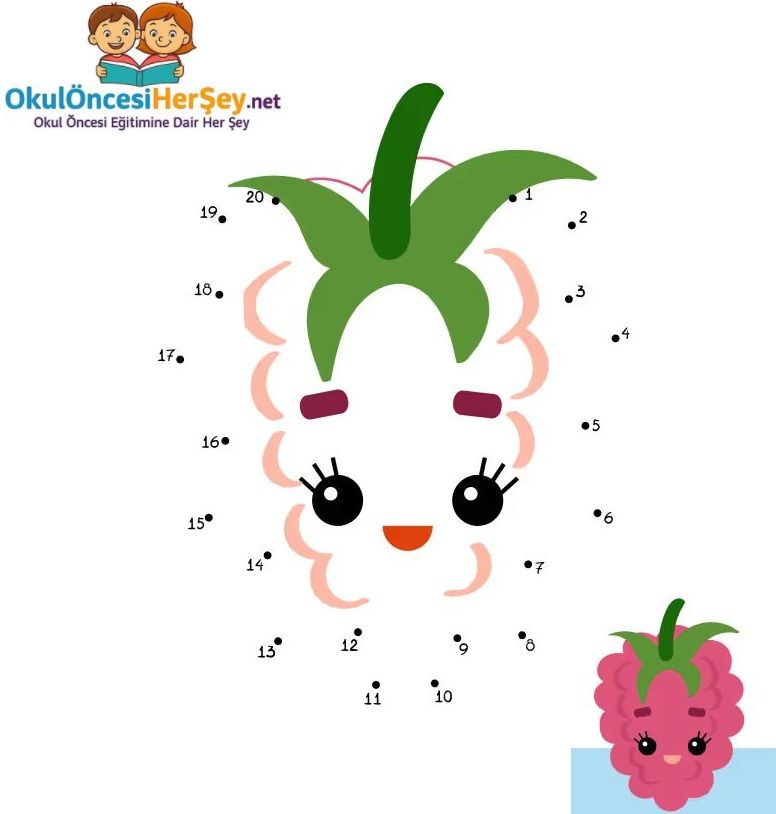 Çizgi Çalışmaları