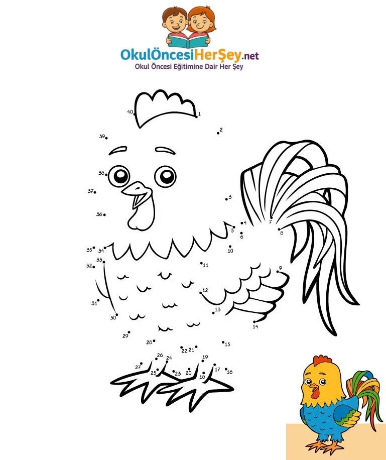 Çizgi Çalışmaları