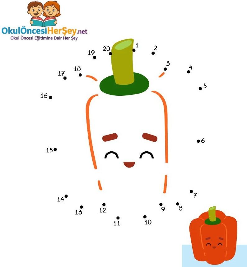 Çizgi Çalışmaları