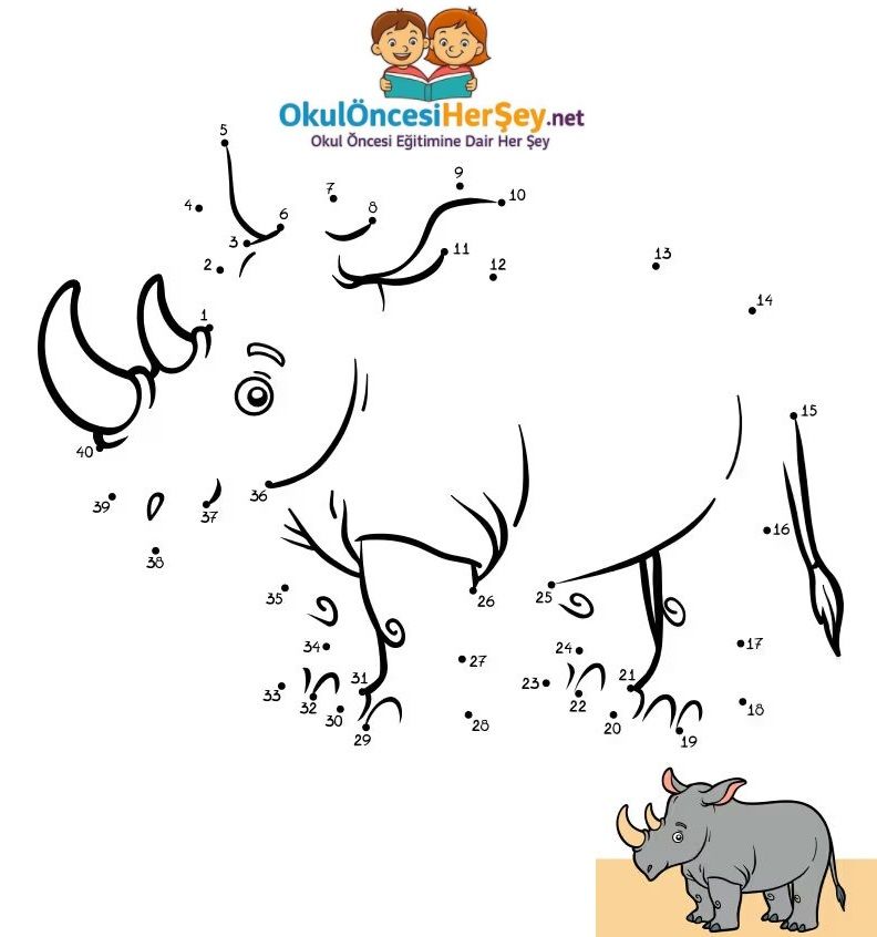 Çizgi Çalışmaları