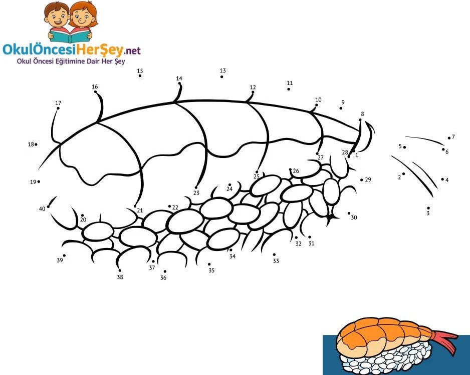 Çizgi Çalışmaları