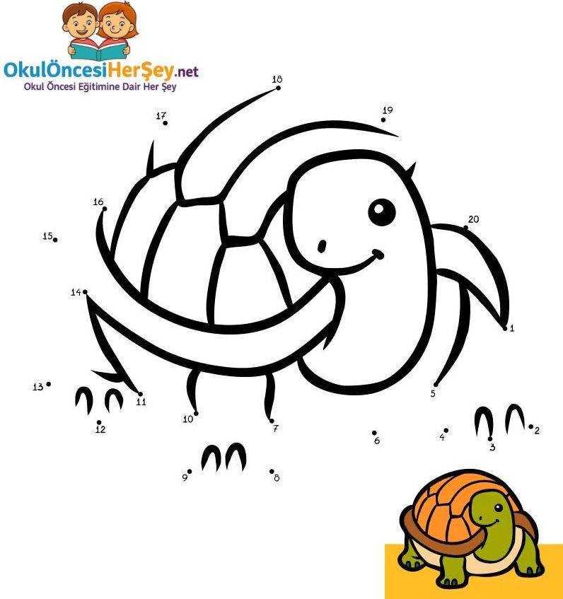 Çizgi Çalışmaları