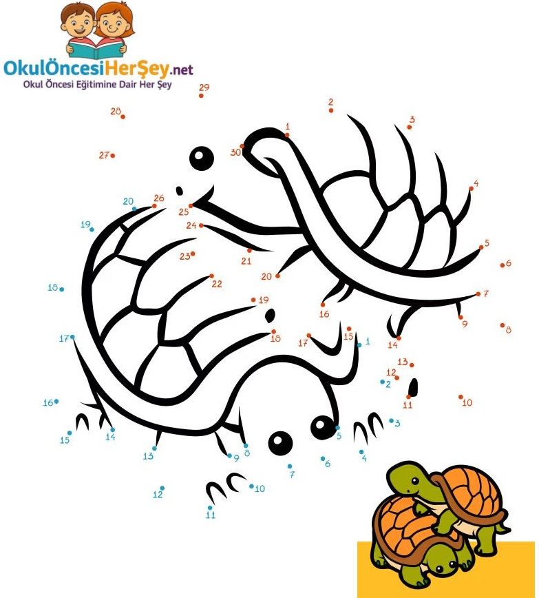 Çizgi Çalışmaları