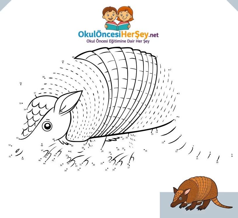 Çizgi Çalışmaları