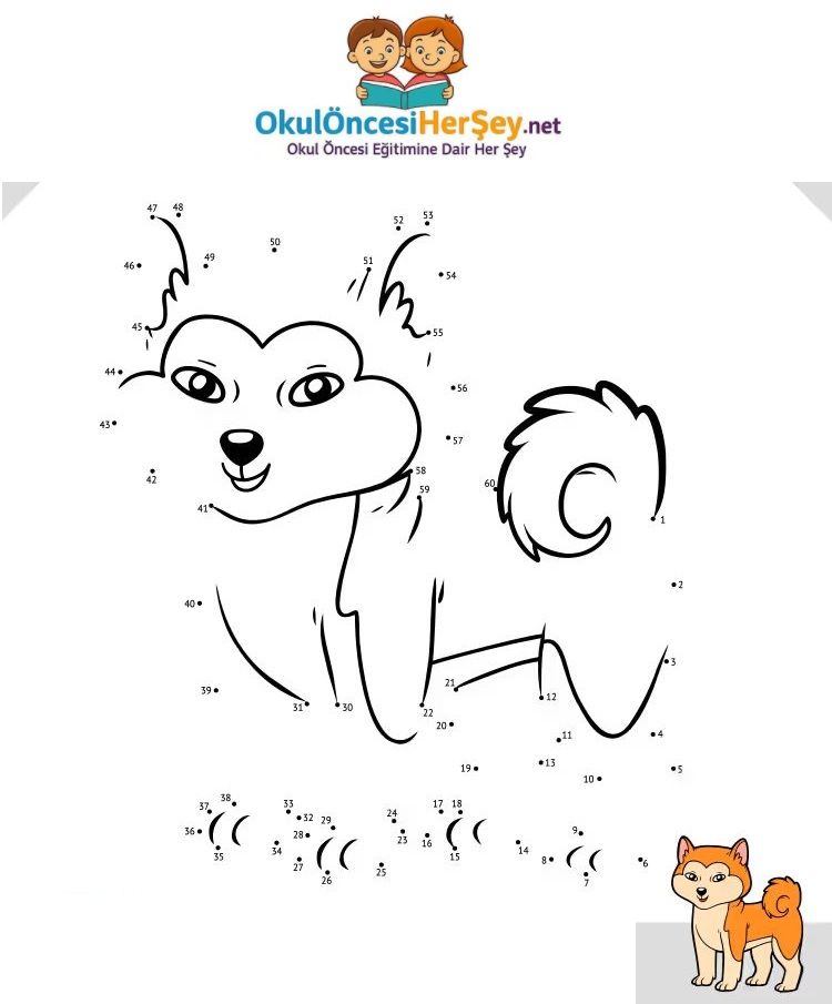 Çizgi Çalışmaları