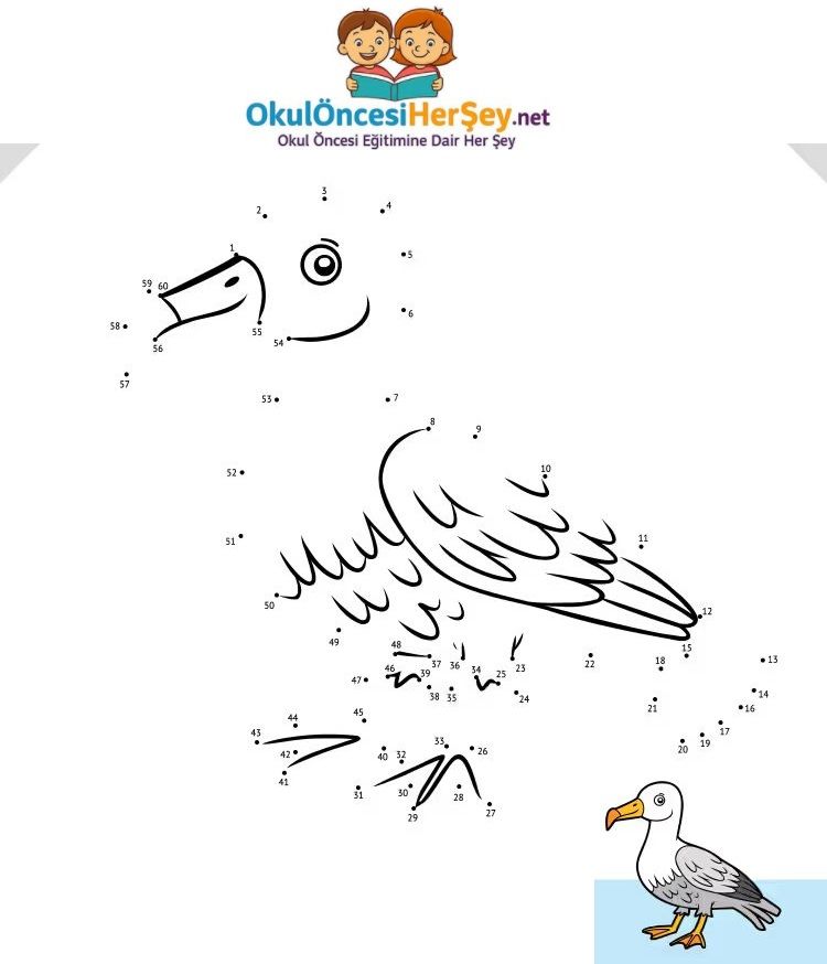 Çizgi Çalışmaları