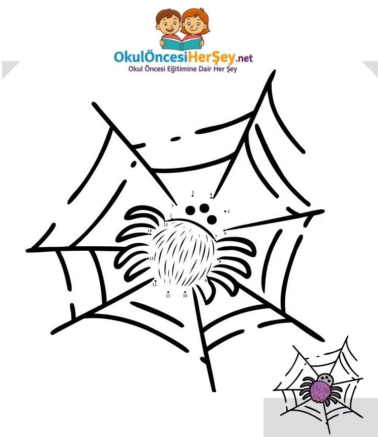 Çizgi Çalışmaları