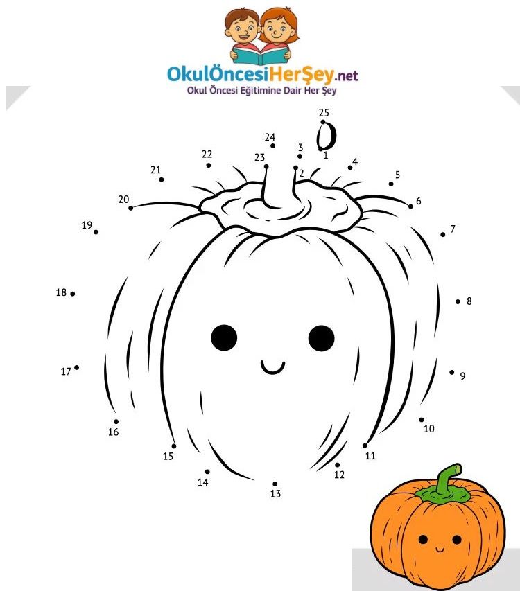 Çizgi Çalışmaları