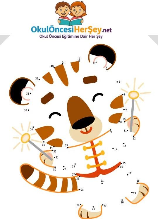 Çizgi Çalışmaları