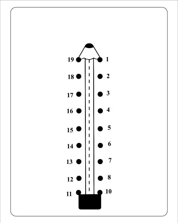 Çizgi Çalışmaları