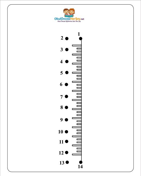 Çizgi Çalışmaları