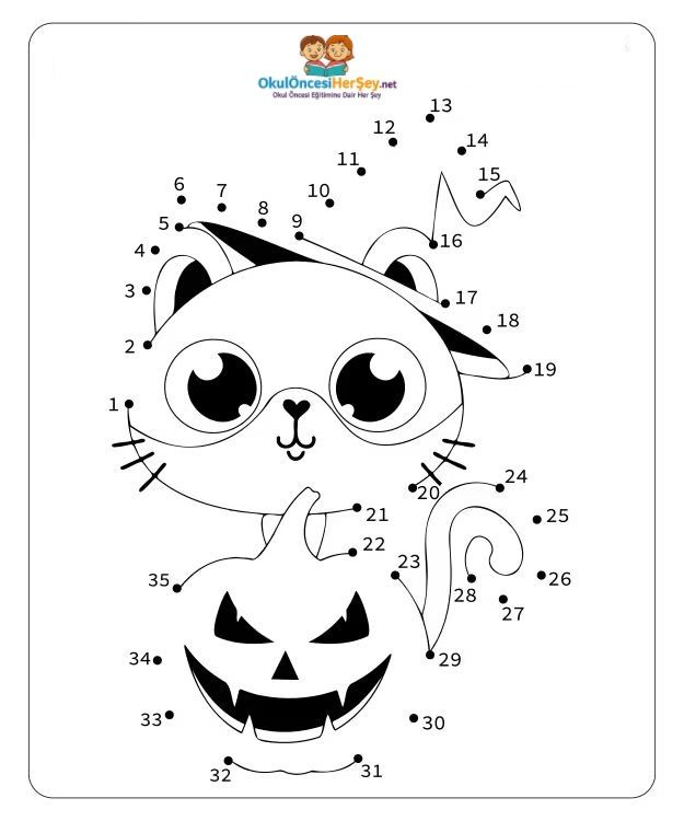 Çizgi Çalışmaları