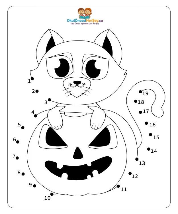 Çizgi Çalışmaları